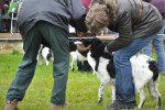 Daarom ging ik (Christien) met Borke de ring in.