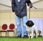 Jaap met Dusty.