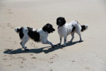 Samen spelen!