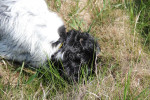 Silke heeft wat gevonden.