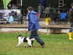 Samen heen en weer over het veld.